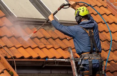 Démoussage et hydrofuge de toiture à Doméliers
